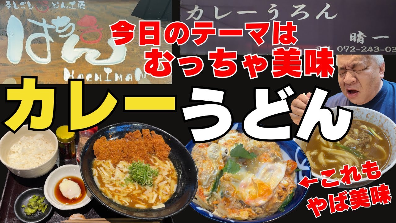 美味しいうどん屋教えて貰ったから、お礼に美味しいうどん屋教えます！ランチにおすすめ！【大阪グルメ　堺市　はちまん】【堺市　カレーうろん晴一】