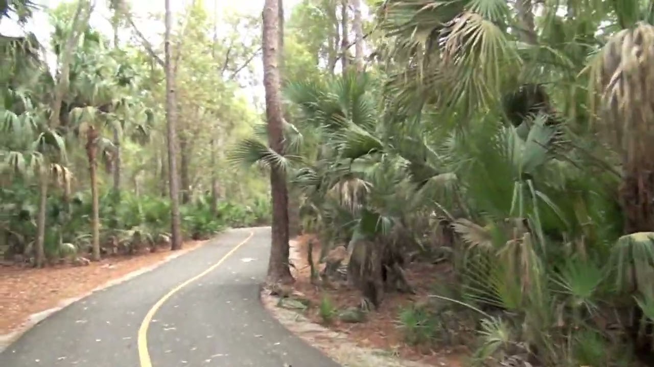 Natural Florida - Bike Trail from Gemini Springs to Lake Monroe Park