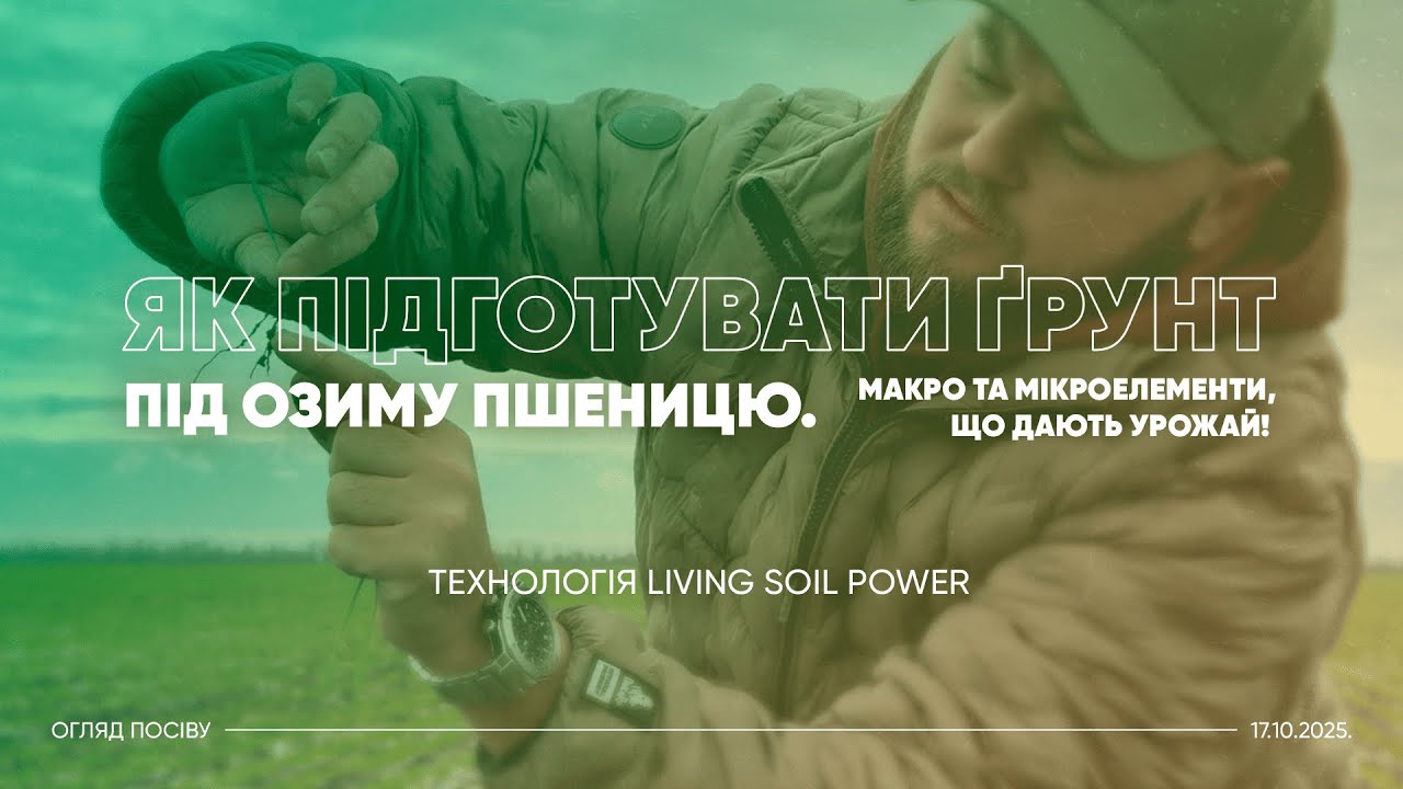 Як підготувати ґрунт під озиму пшеницю. Макро та мікроелементи, що дають урожай!