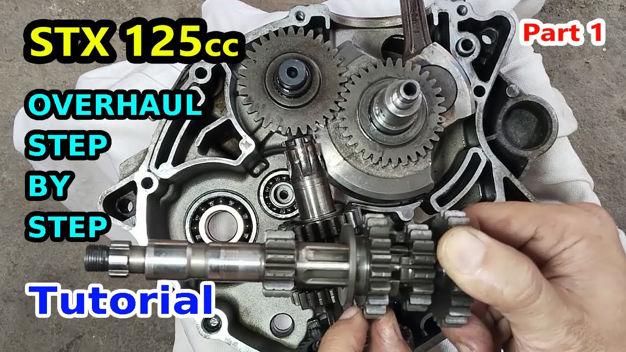 Engine Overhaul 01 - Transmission Center Side - Yamaha Motorcycle STX 125 Rebuild Refresh Restore
