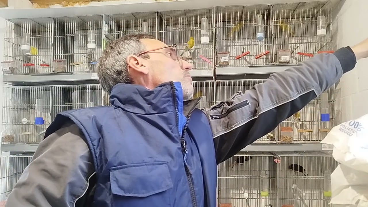 Un ratito en el aviario 122( felices fiestas a todos)