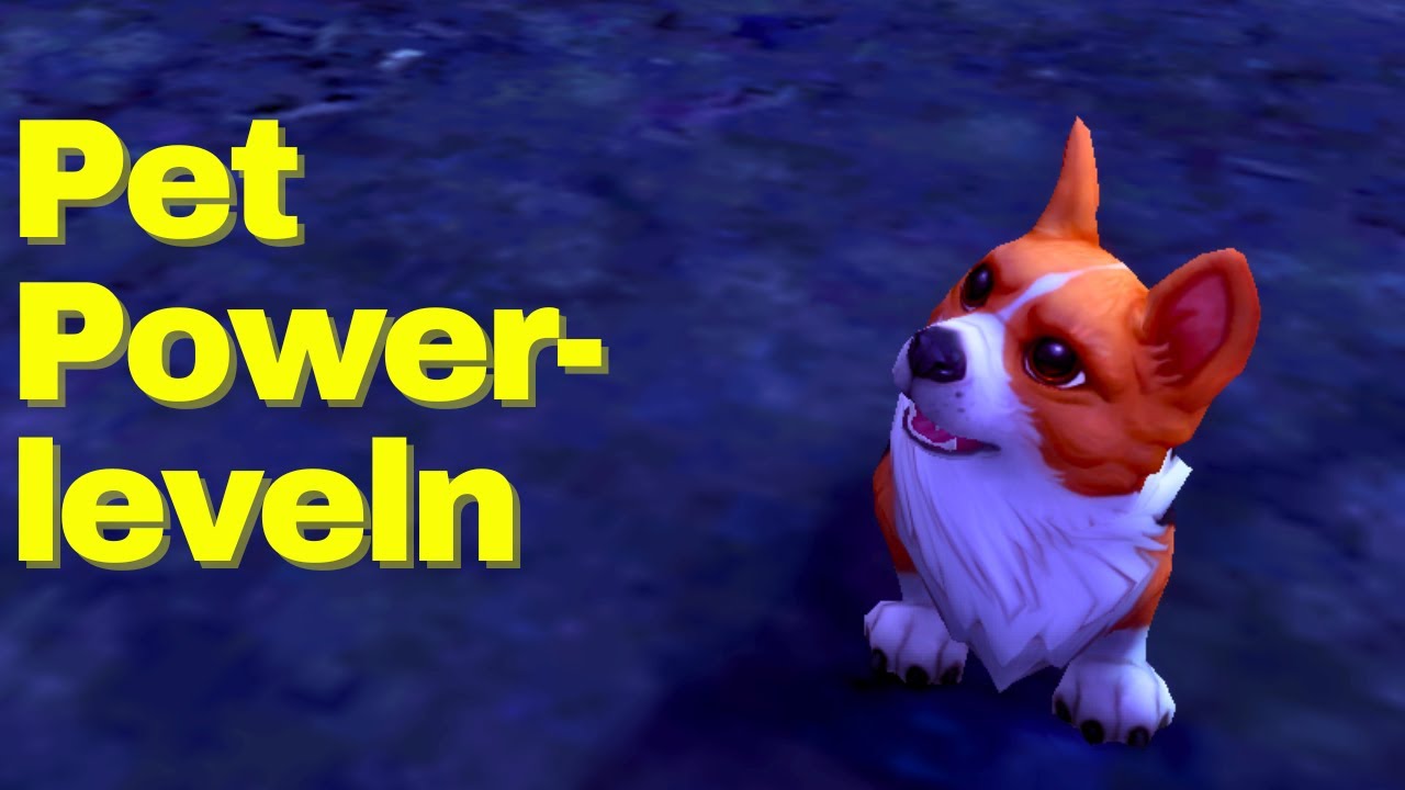 Powerleveln mit Spatz, 1Min.15 pro Runde!
