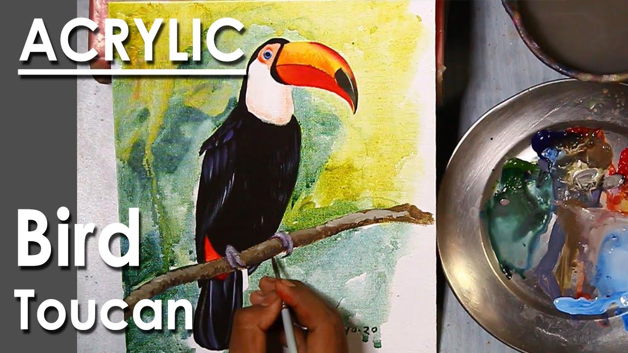 Bird Painting in Acrylic : Toucan Bird | steps to follow