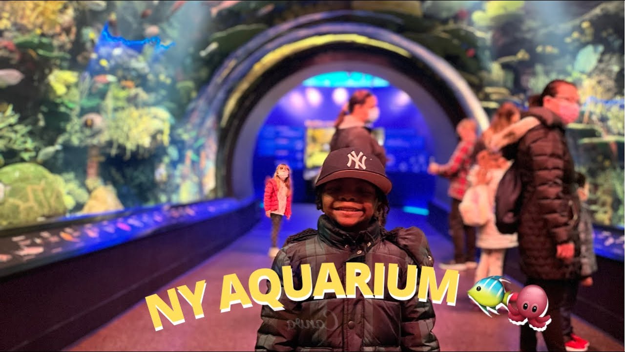 New York Aquarium Tour 2022 | Sea Lion Show | Coney Island | Mom Vlog