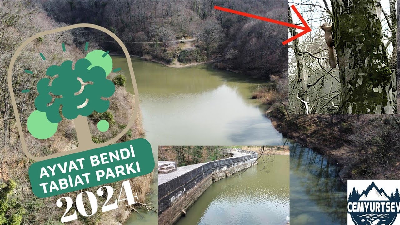 AYVAT BENDİ TABİAT PARKI