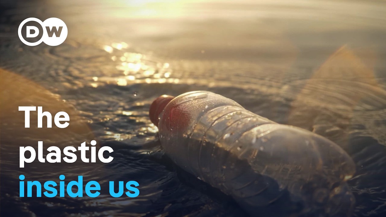 Nano- and micro-plastics: The invisible danger to the body | DW Documentary