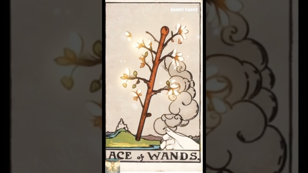 [Tarot Video Series] Ace of Wands: Unleash Your Power!