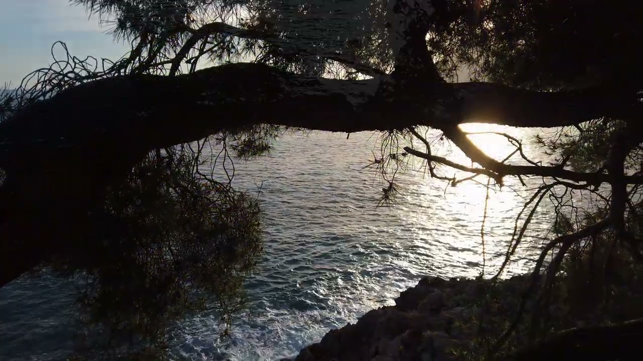 chemin côtier de Roquebrune