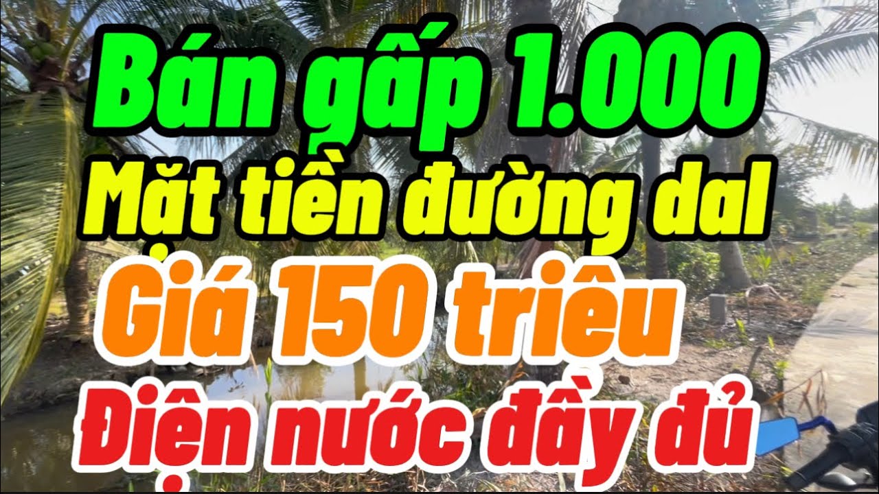 Bán gấp 1.000m2 đất vườn mặt tiền lộ dal và kinh lớn điện nước đầy đủ giá 150 triệu Tỉnh An Giang 