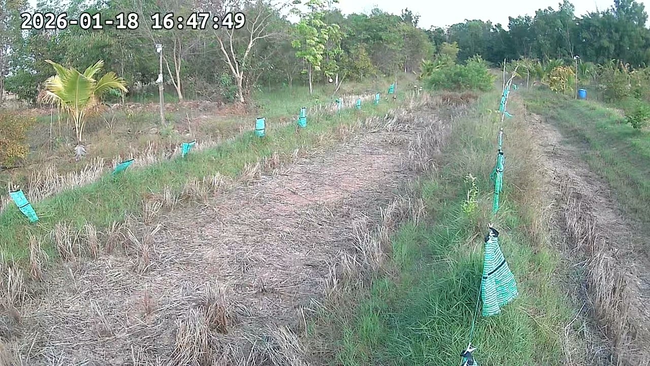 ‎18 ‎มกราคม ‎2569, ‏‎164941