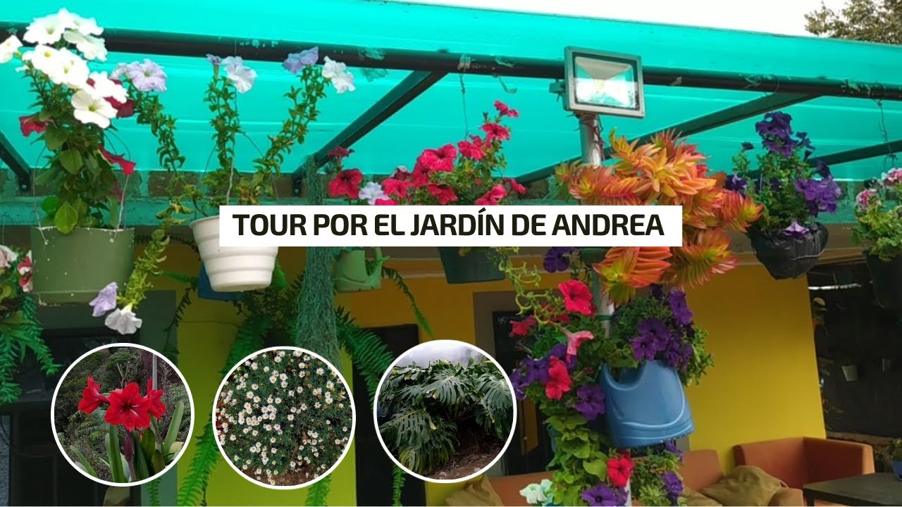 Tour por el jardín de Andrea, UN JARDÍN CON MUCHAS FLORES y plantas hermosas | Jardín Diaz