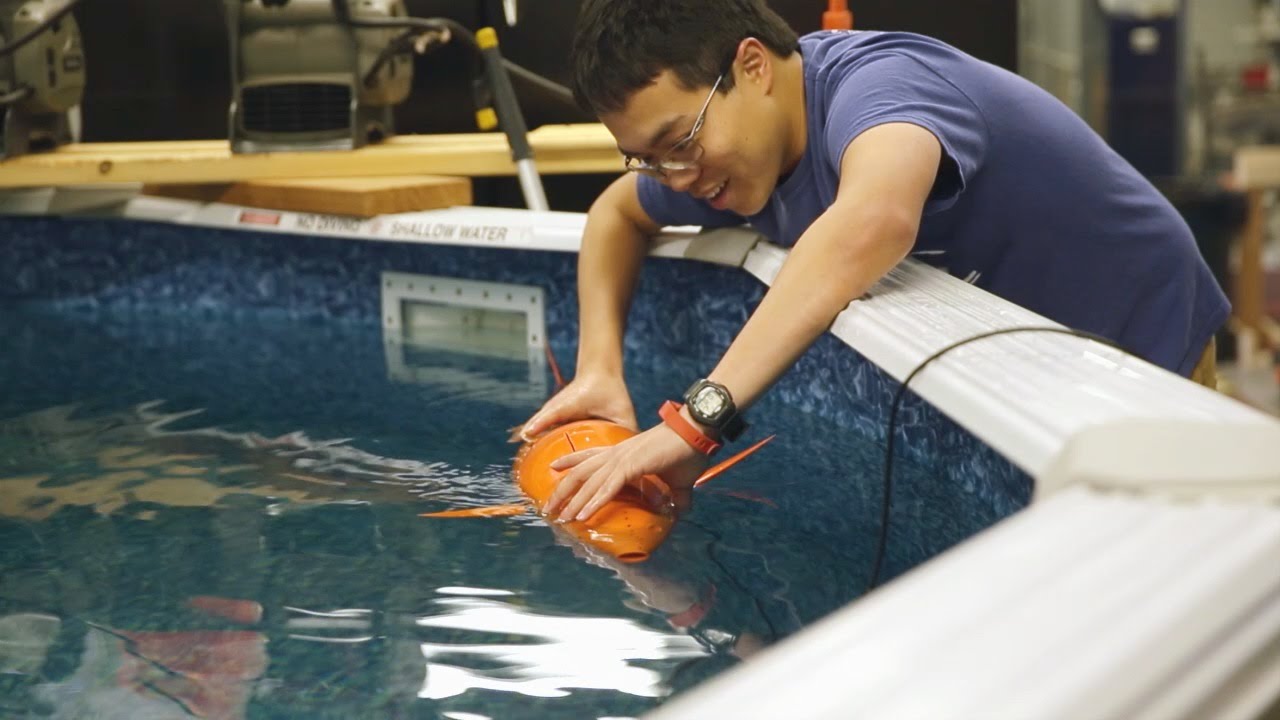 Olin Admission Video