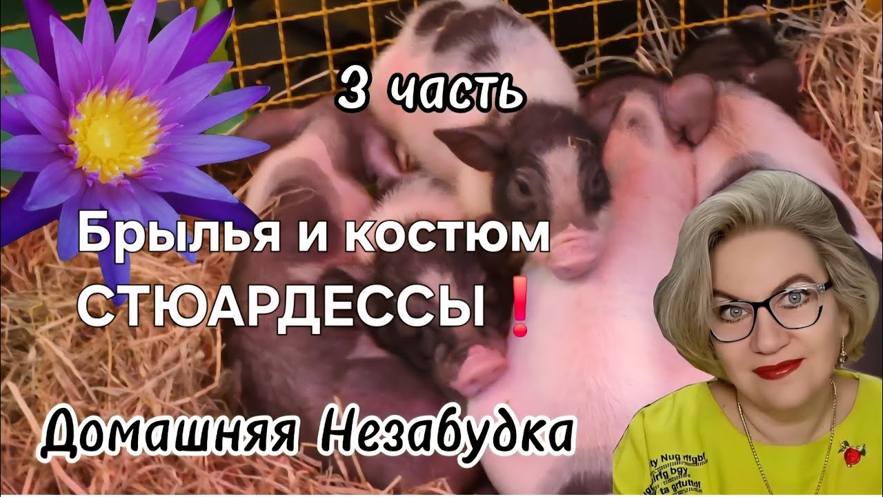 Брылья и костюм СТЮАРДЕССЫ❗️