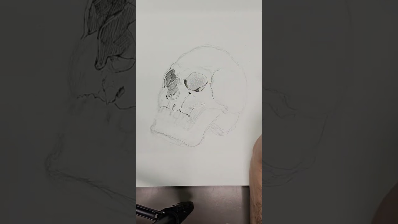 Marker drawing study of a human skull