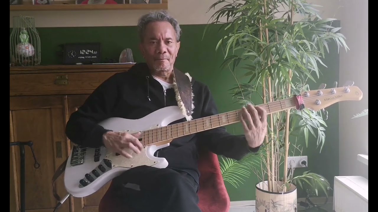 Luther Vandross - Never too much Bass Cover