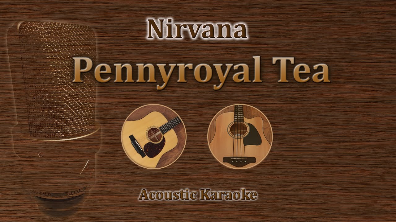 Pennyroyal Tea - Nirvana (Acoustic Karaoke)