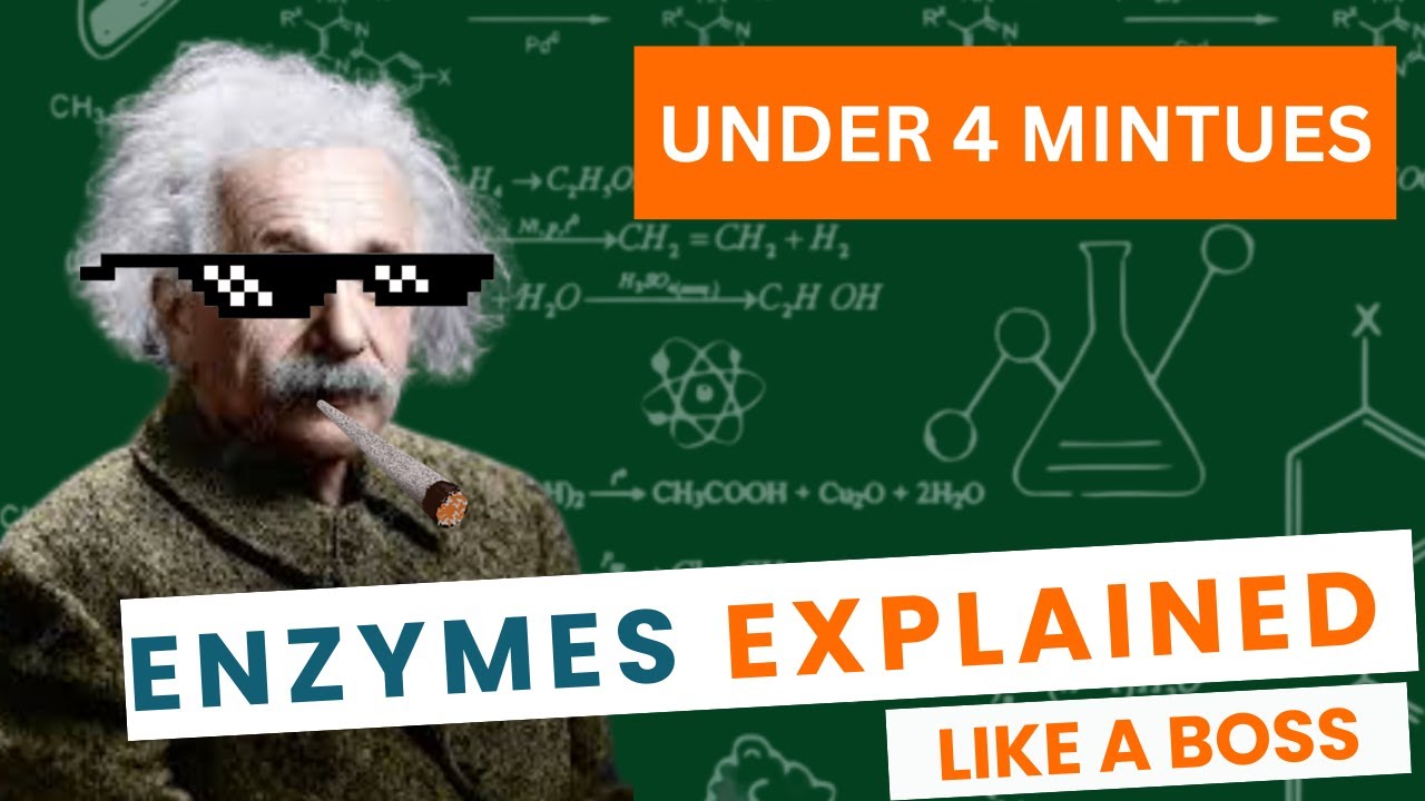 Enzymes Explained | The Tiny Proteins That Power Life!