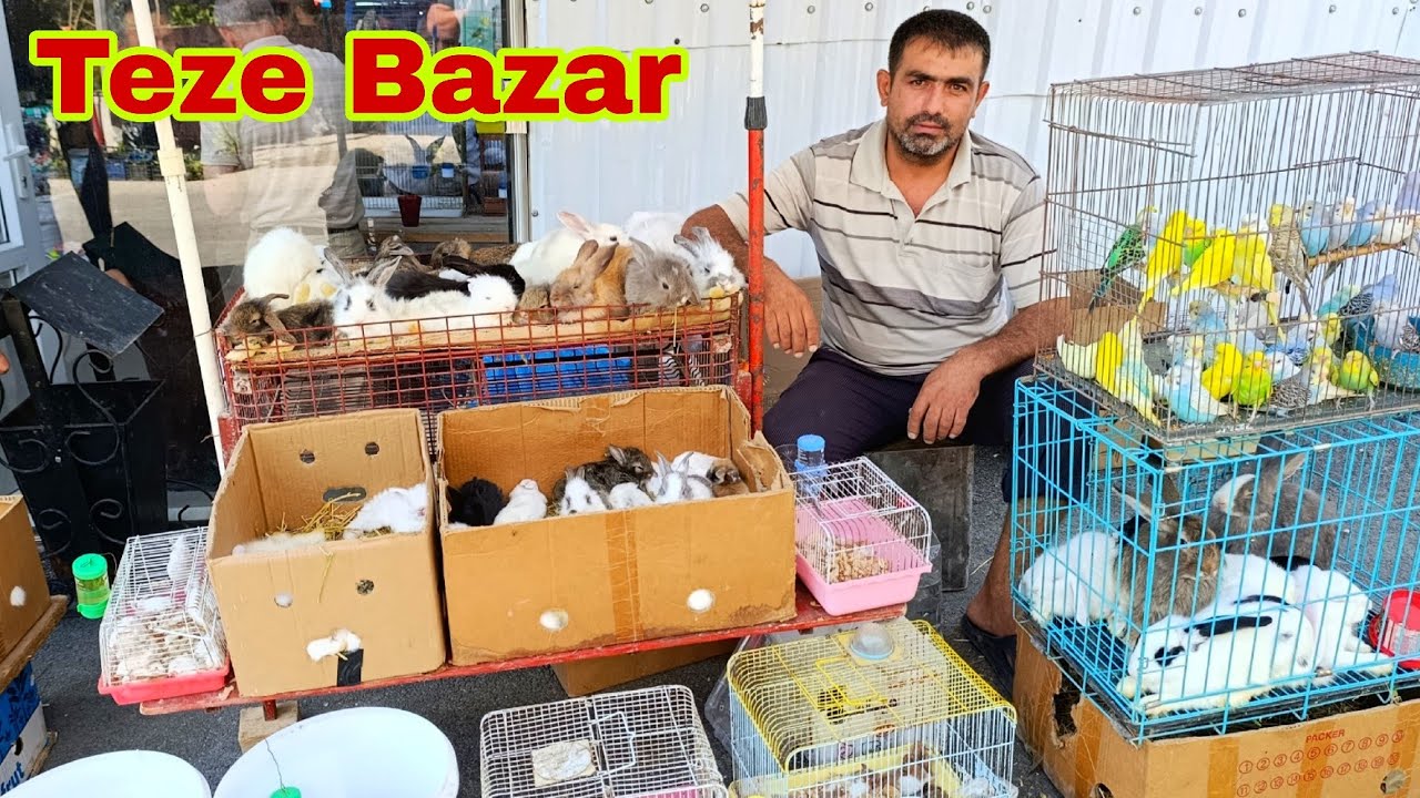 Teze Bazar 27 iyul 2025