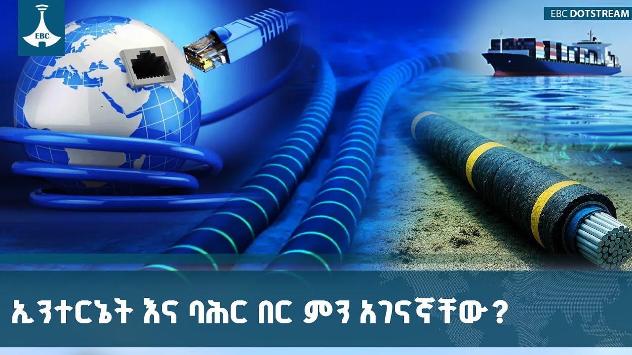 የባሕር በር ተፅዕኖ በኢትዮጵያ ዲጂታል ትራንስፎርሜሽን ላይ | Digital Transformation in Ethiopia