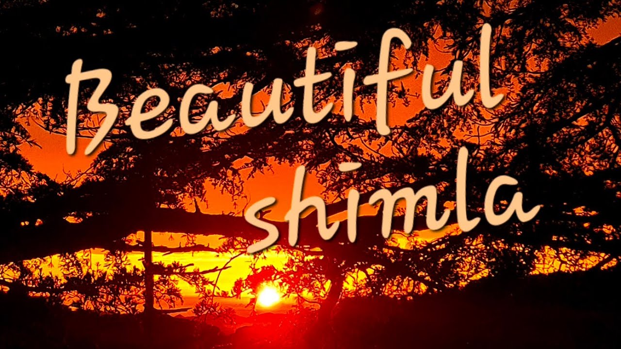 Beautiful Shimla 😍 ..