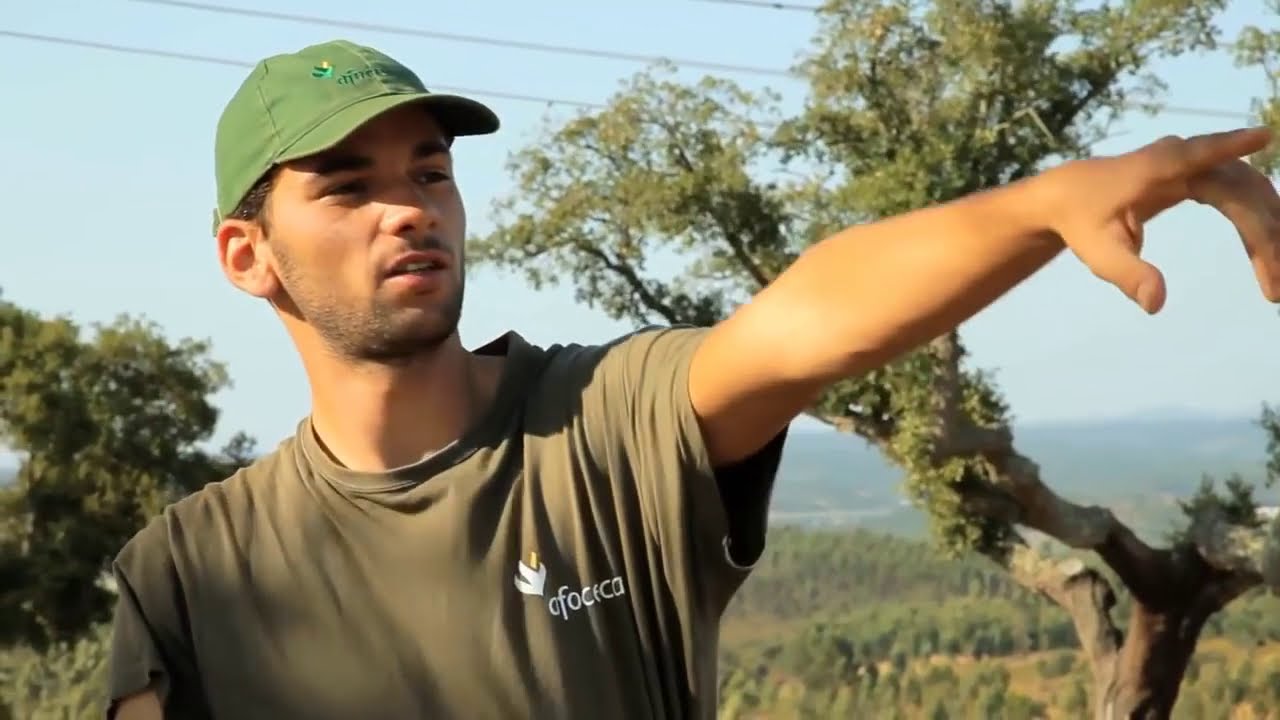 The Navigator Company - Afocelca e a Proteção da Floresta Contra Incêndios