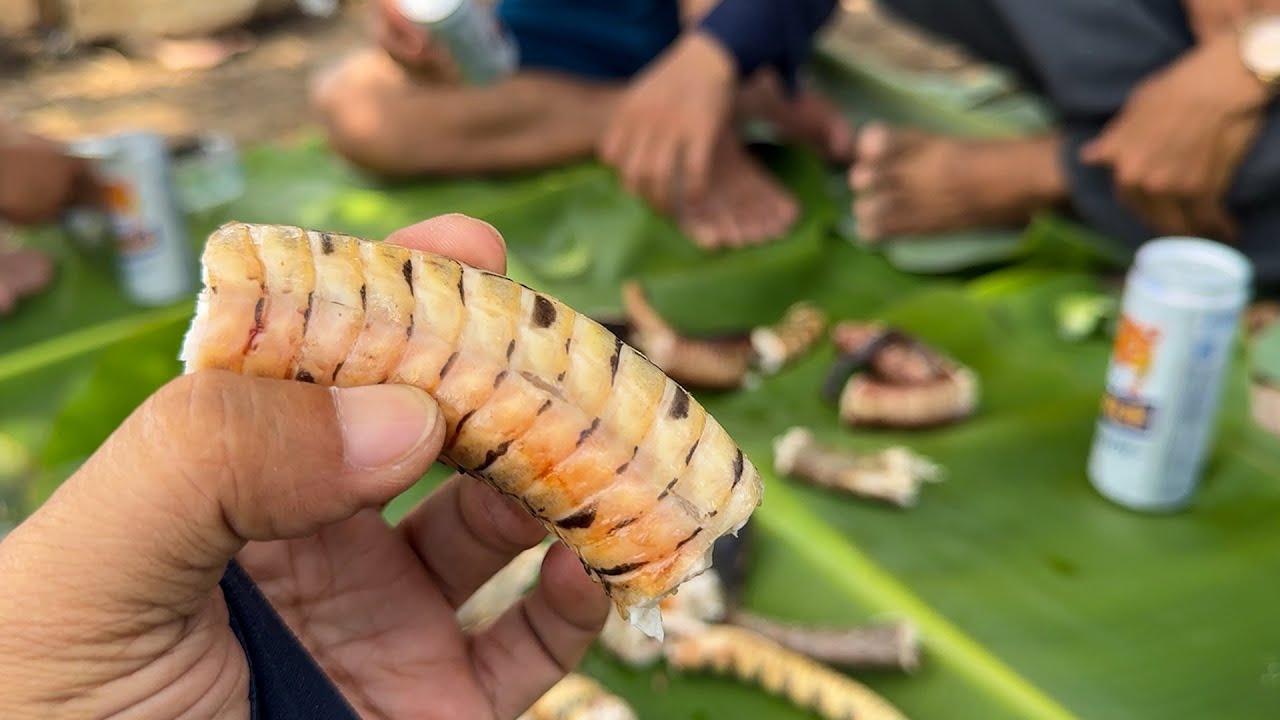 Săn Được Ít Rắn Thịt, Làm Một Bữa Tiệc Ngon Nhất | TGSB #1175