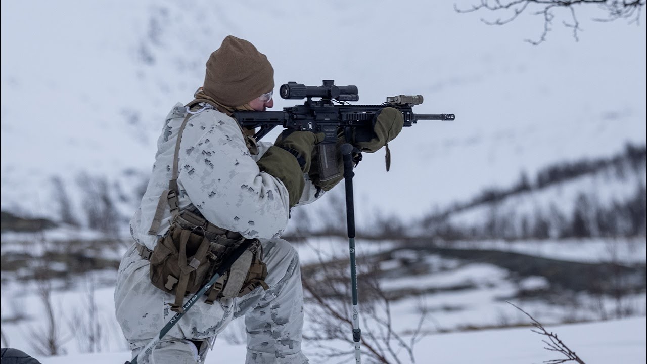 Small Arms: Does Your Weapon Need LAW Instead of CLP?