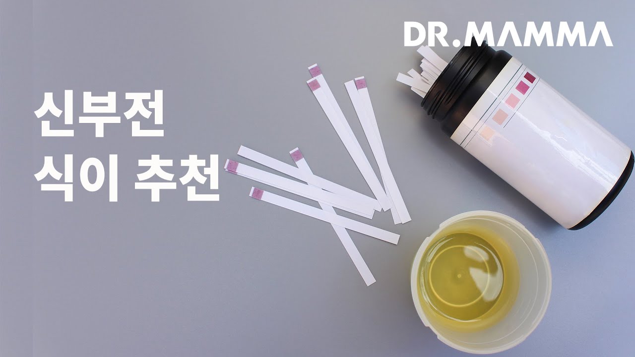 신부전이 있는 강아지의 식단? / 강아지신부전과 그에 맞는 식이 추천ㅣ닥터맘마 수의사팀