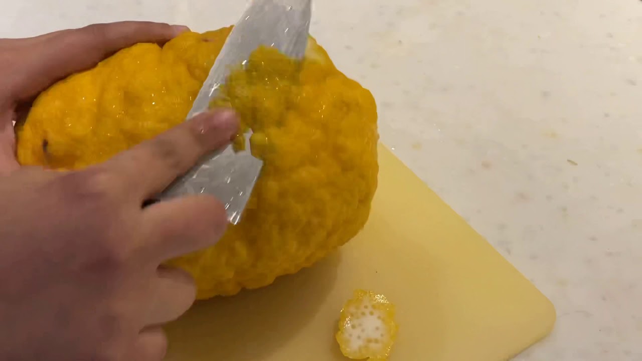 1000 year old Iraqi recipe from an ancient Arabic cookbook: Humadia + Citron recipe
