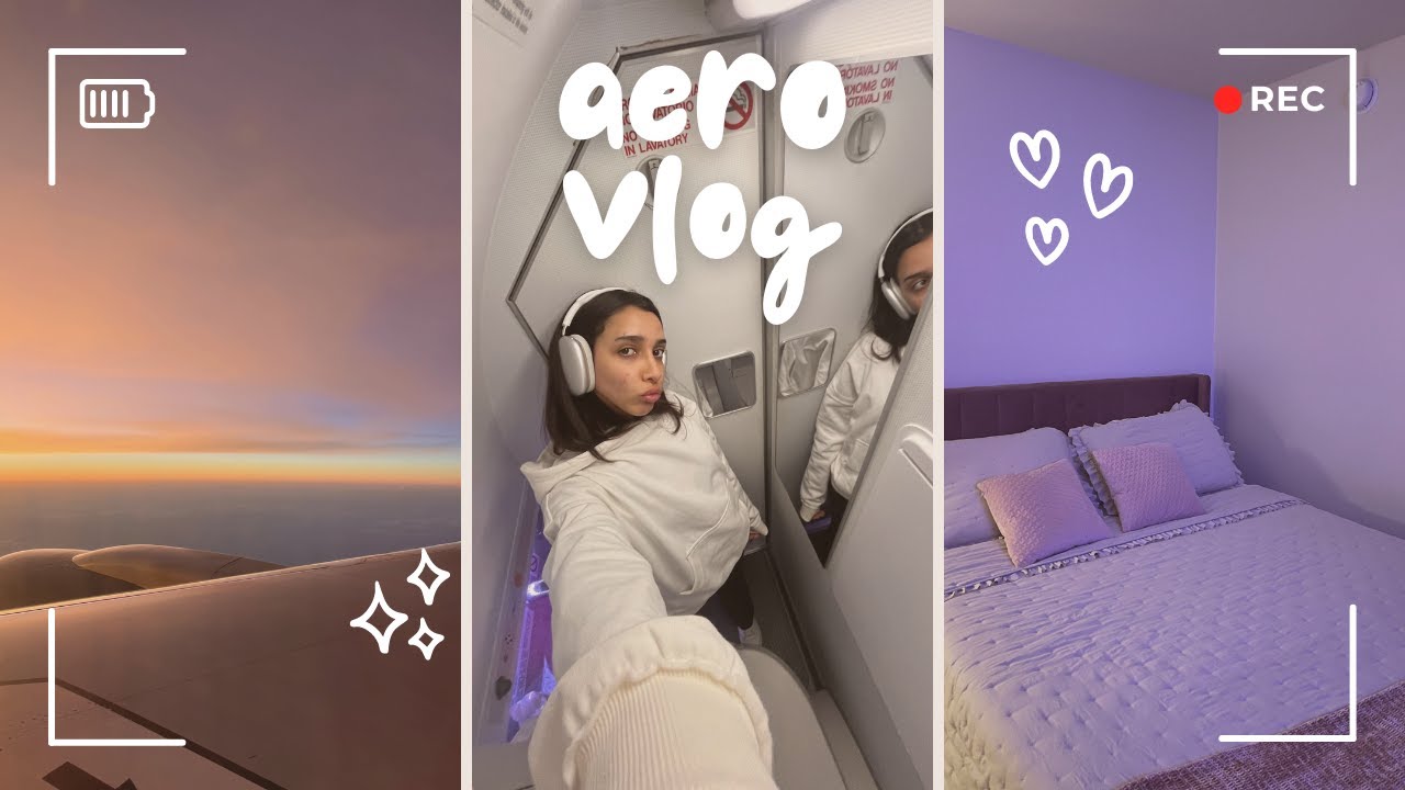 voltei a morar em los angeles | aerovlog brasil - eua