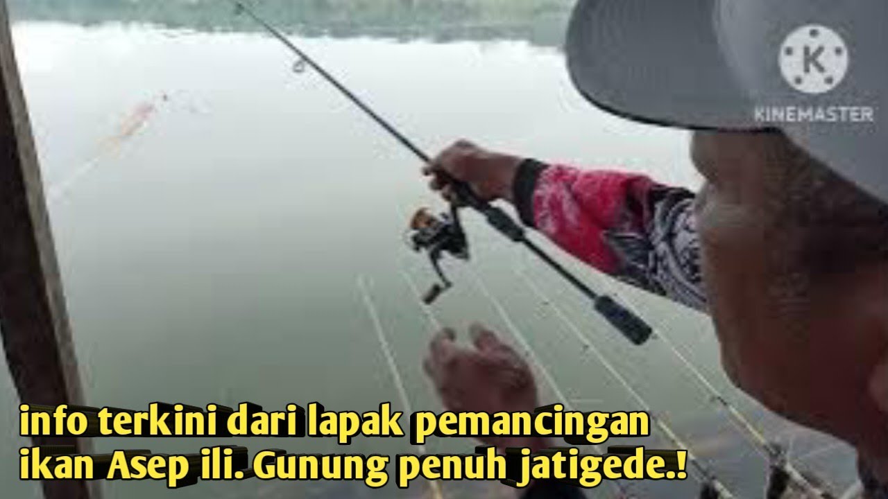Terbaru Berburu Mancing ikan. Ke Lapak Asep ili Gunung penuh Jatigede.@aceng asgar fishing