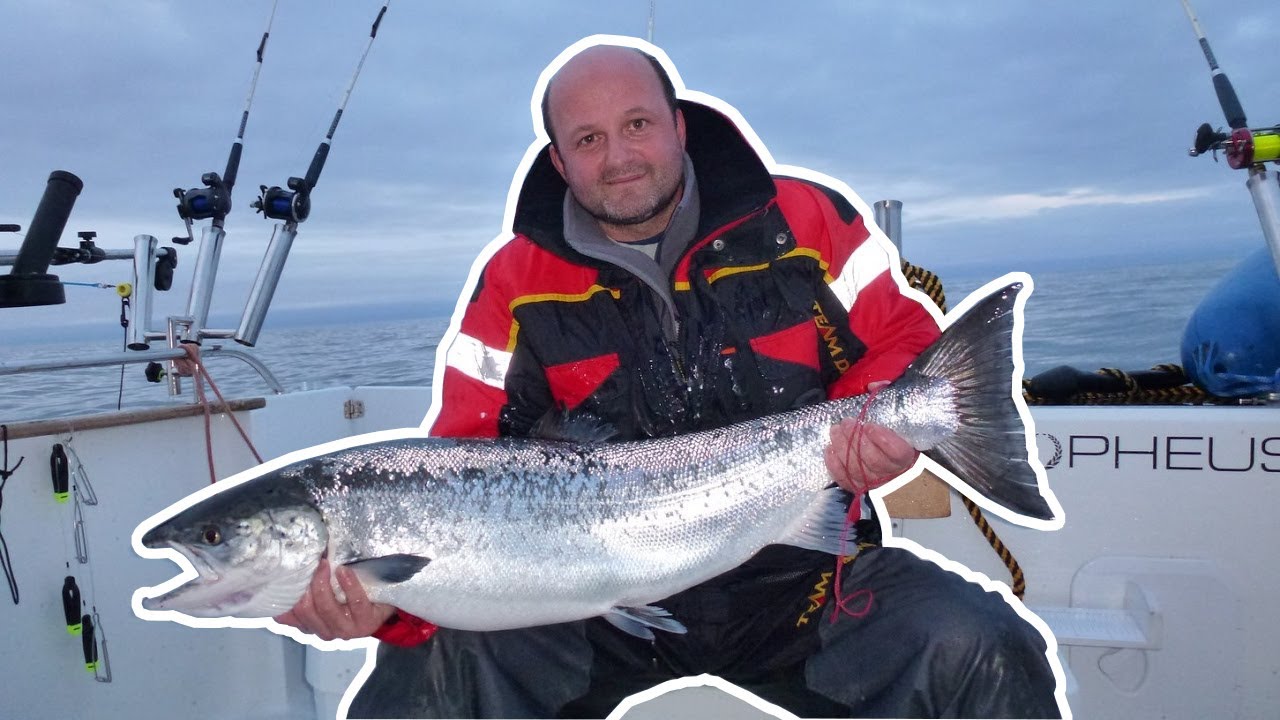 Wyprawa na łososie z Tropheus-em. Salmon trolling i łosoś 107 cm.