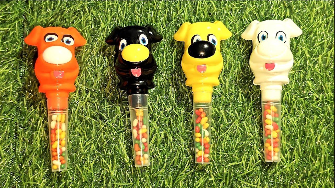 The Shocking Truth About Toy Candy For Dogs You Need To Know