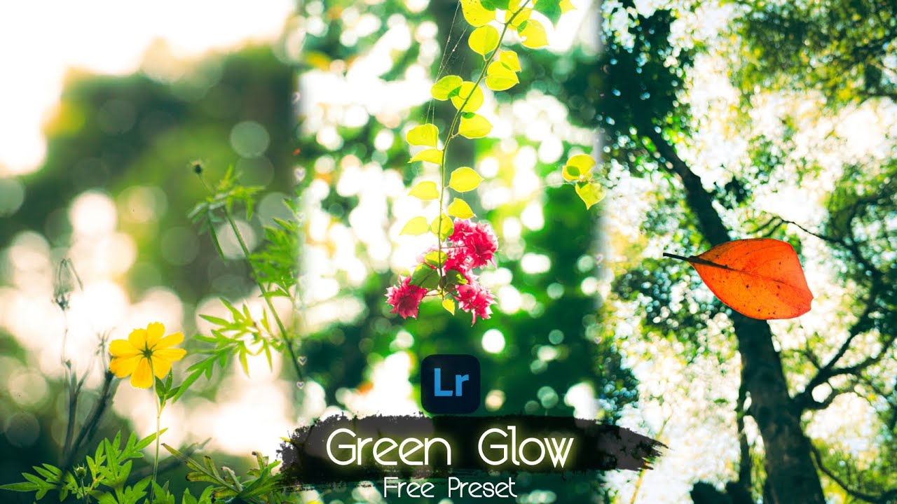 Green Glow preset | Free Lightroom Preset