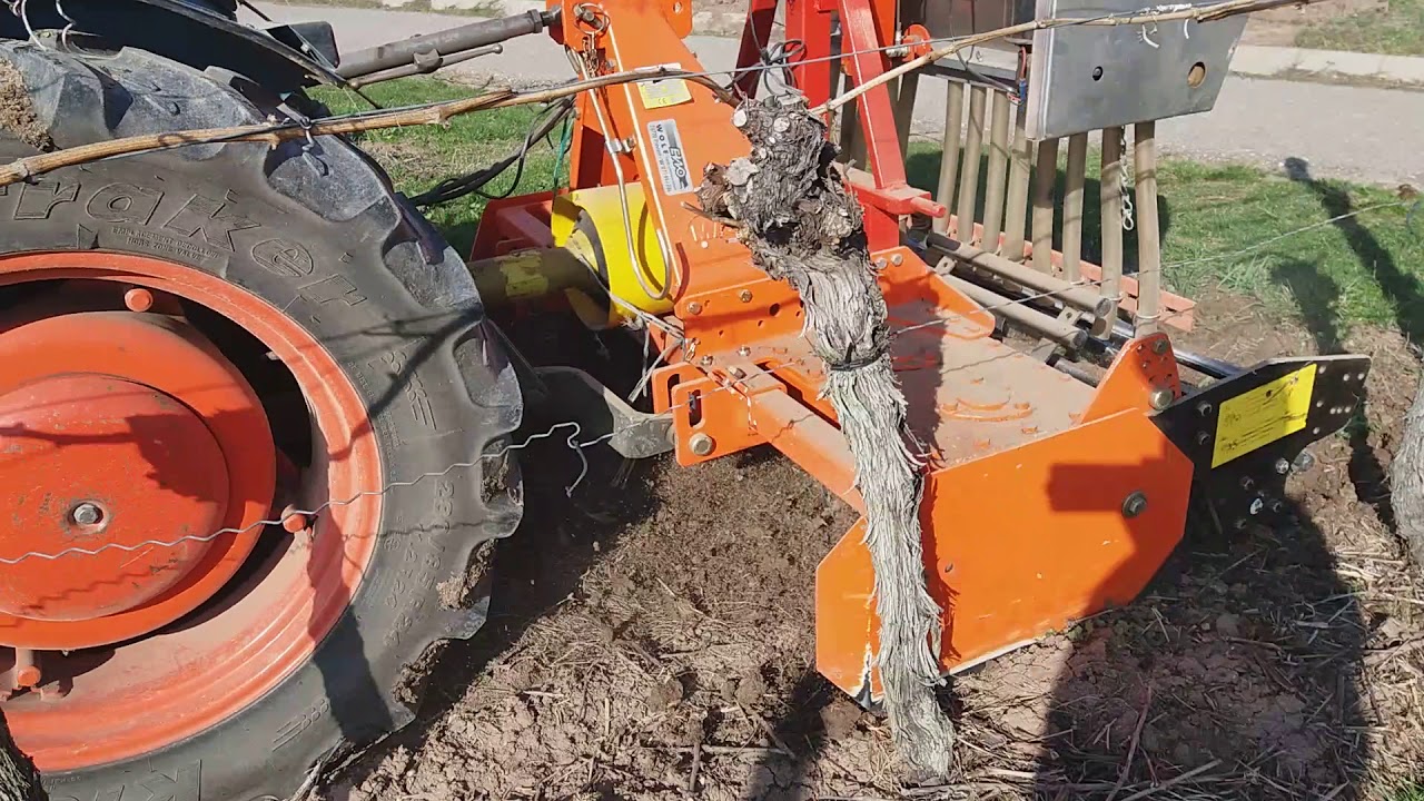 Einsäen im Weinberg mit Eicher 342 und Maschio 1.5m Kreiselegge