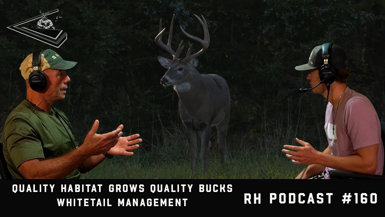 Quality Habitat Grows Quality Bucks:  Whitetail Management  | Raised Hunting Podcast 