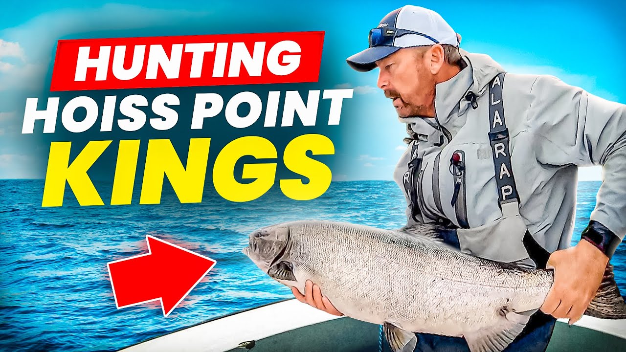 HUNTING HOISS POINT KINGS!
