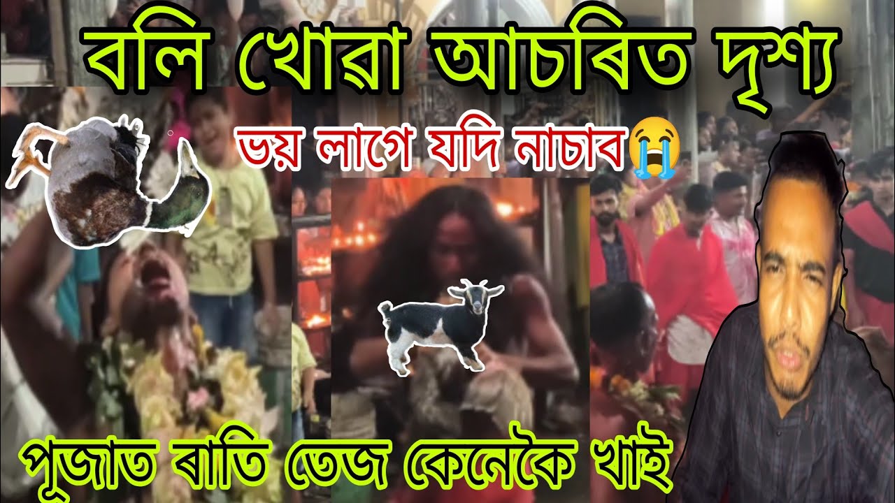 মনসা পূজাৰ বলি খোৱা আচৰিত দৃশ্য 😲- Manasha Puja 2025 