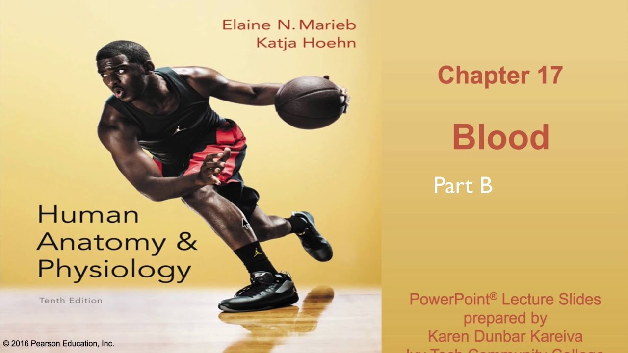 Anatomy and Physiology Chapter 17 Part B lecture: Blood