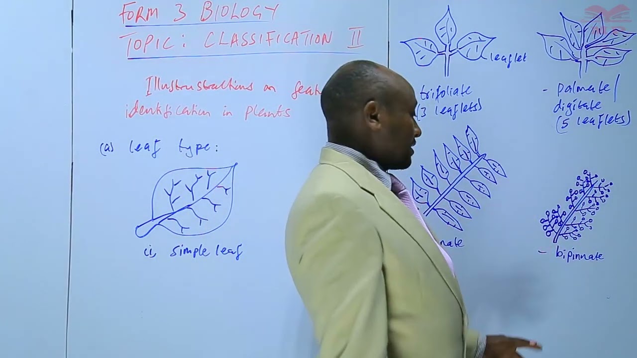 Featues of Identification in Plants_L28