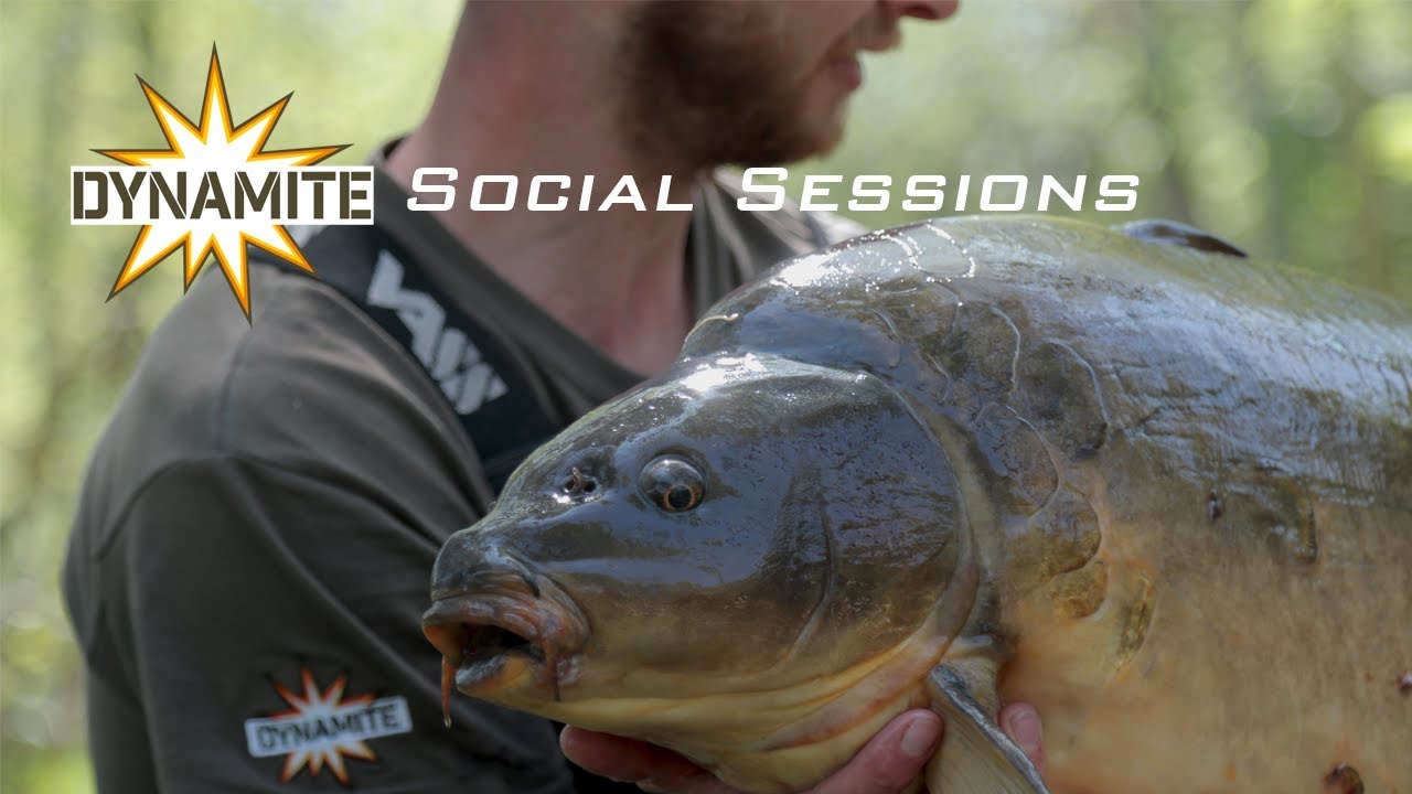 Dynamite Social Sessions Carp Fishing