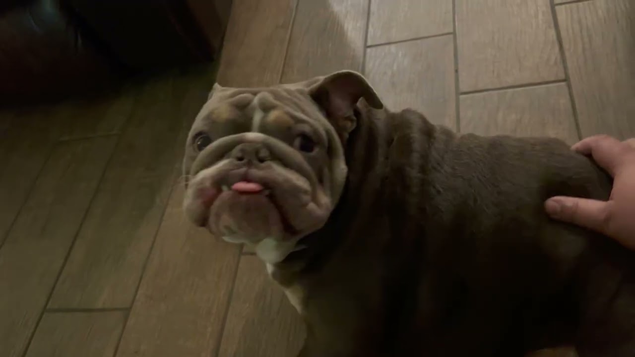 Sunday Loungin’ with Chuco 💤