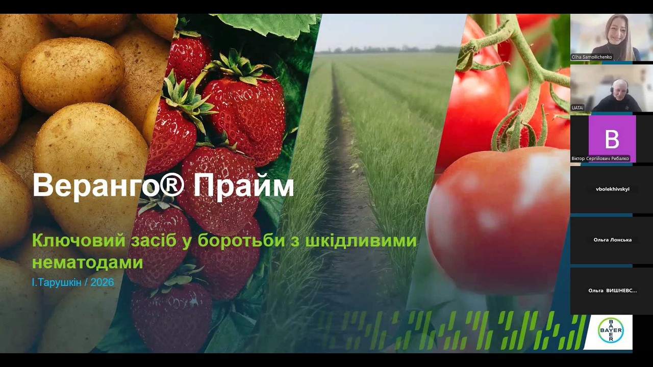 Як боротися з картопляними нематодами: все про єдиний офіційно зареєстрований нематоцид
