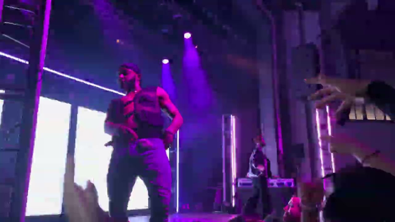 JPEGMAFIA and Danny Brown - Steppa Pig/Garbage Pale Kids (LIVE in Pittsburgh)