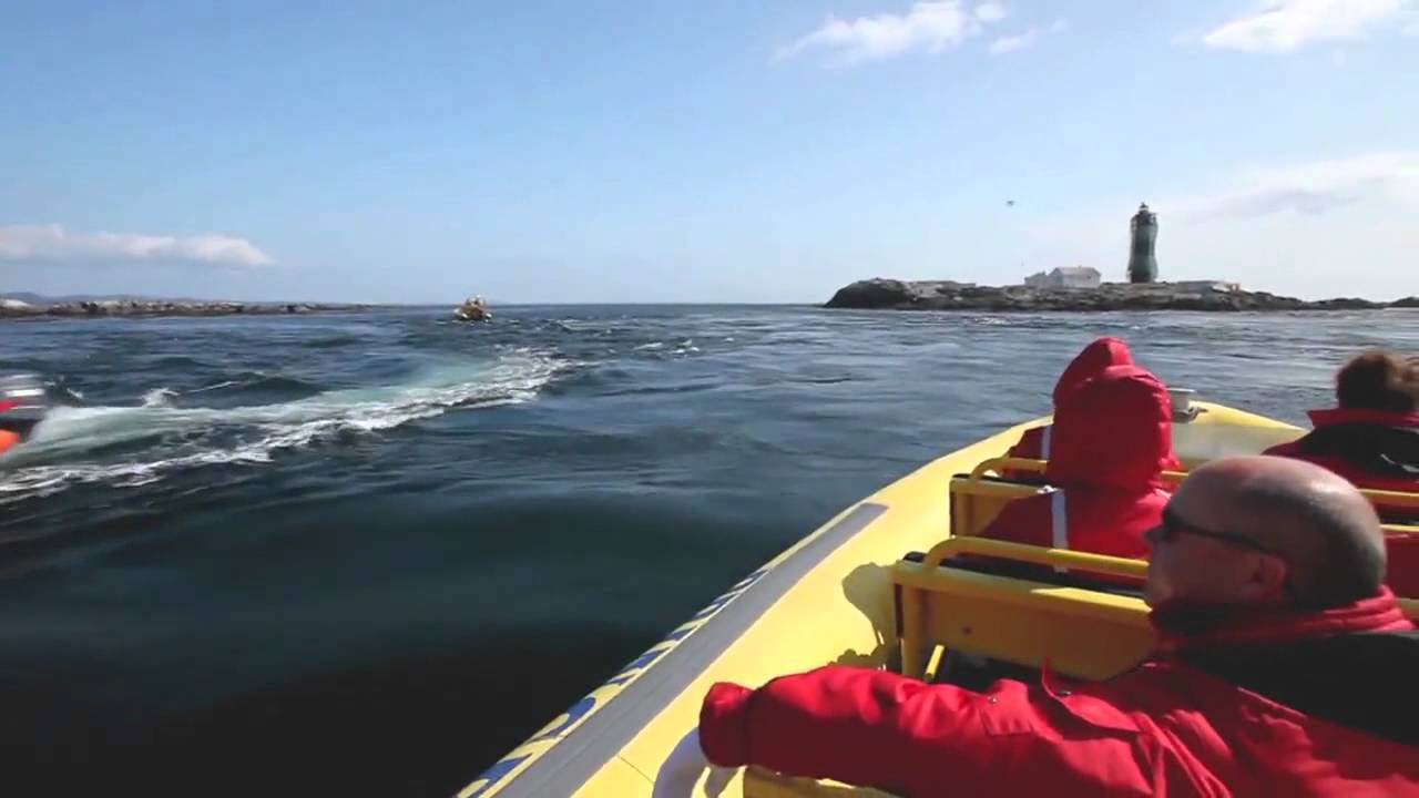 Zodiac Adventure Tour