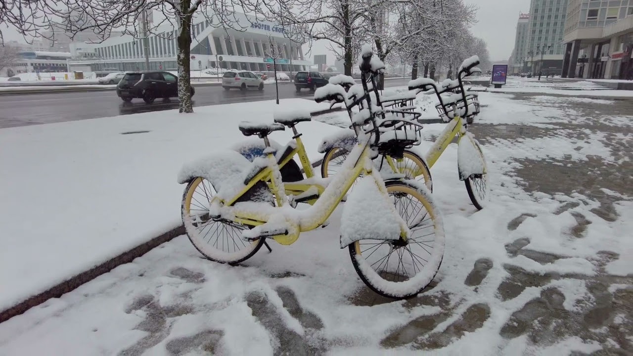 Minsk. Last days of autumn. Snowfall
