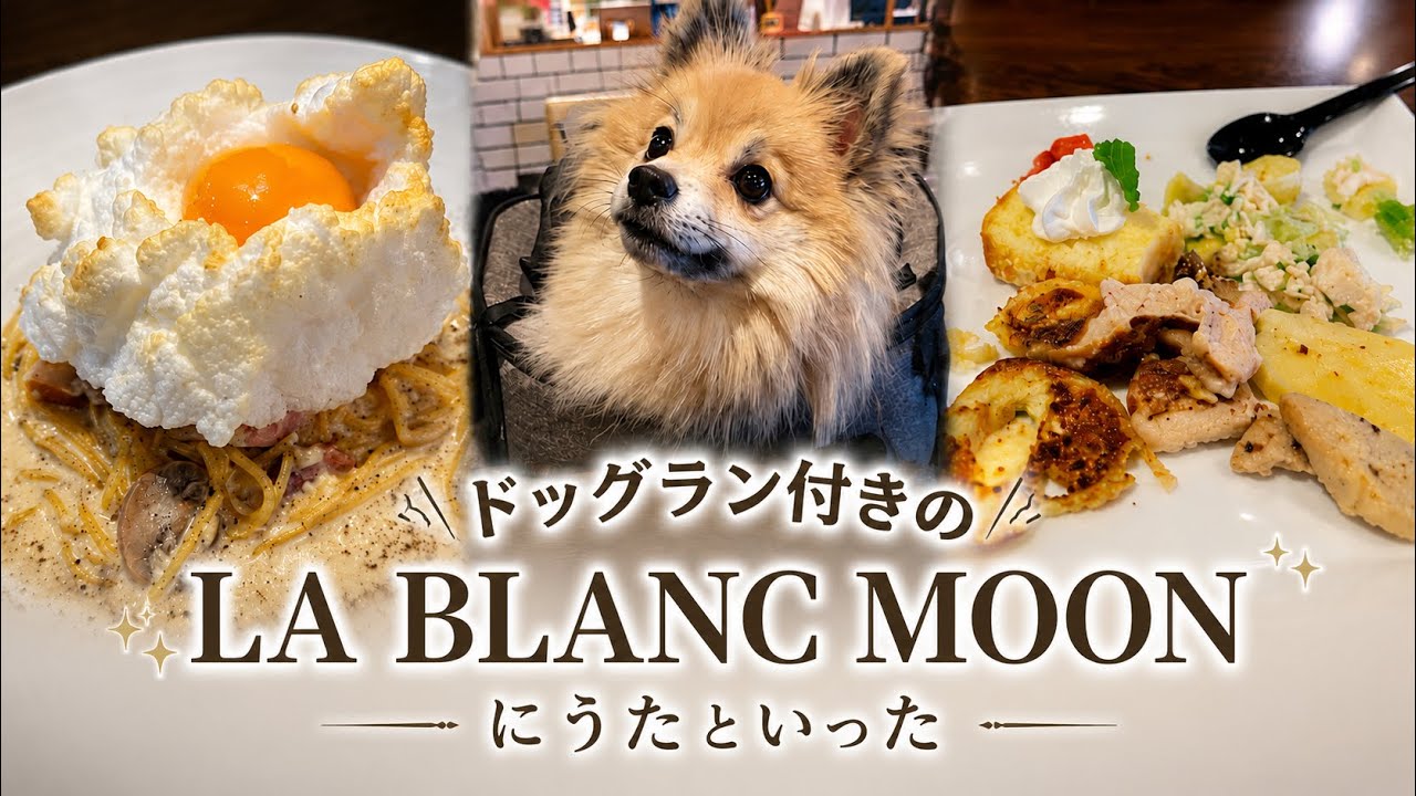 ドッグカフェ LA BLANC MOON in 札幌清田区