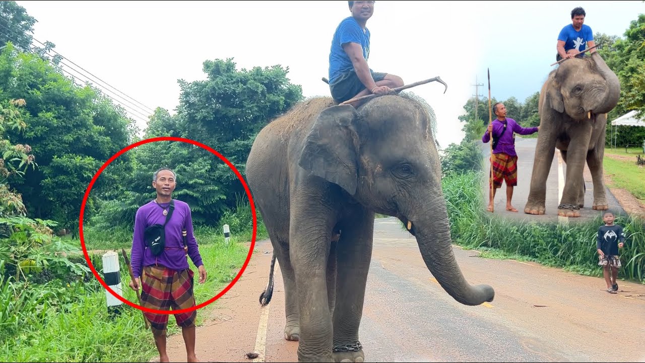 ตัดสินใจครั้งยิ่งใหญ่‼️เปลี่ยนควาญใหม่ทั้งระบบ ด้วยเหตุ‼️และปัจจัย😲