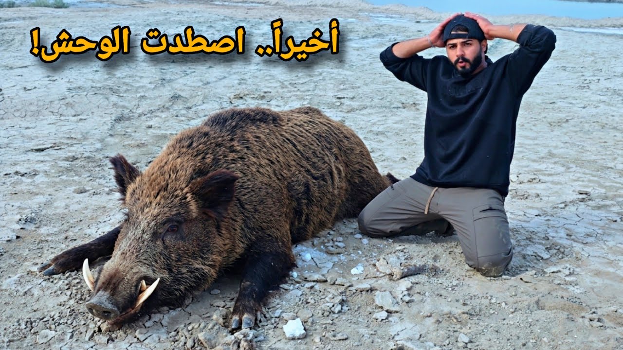 تحدي صيد اضخم خنزير 🐖 بري واجهته في حياتي !! صدمه عمري 😱🔥