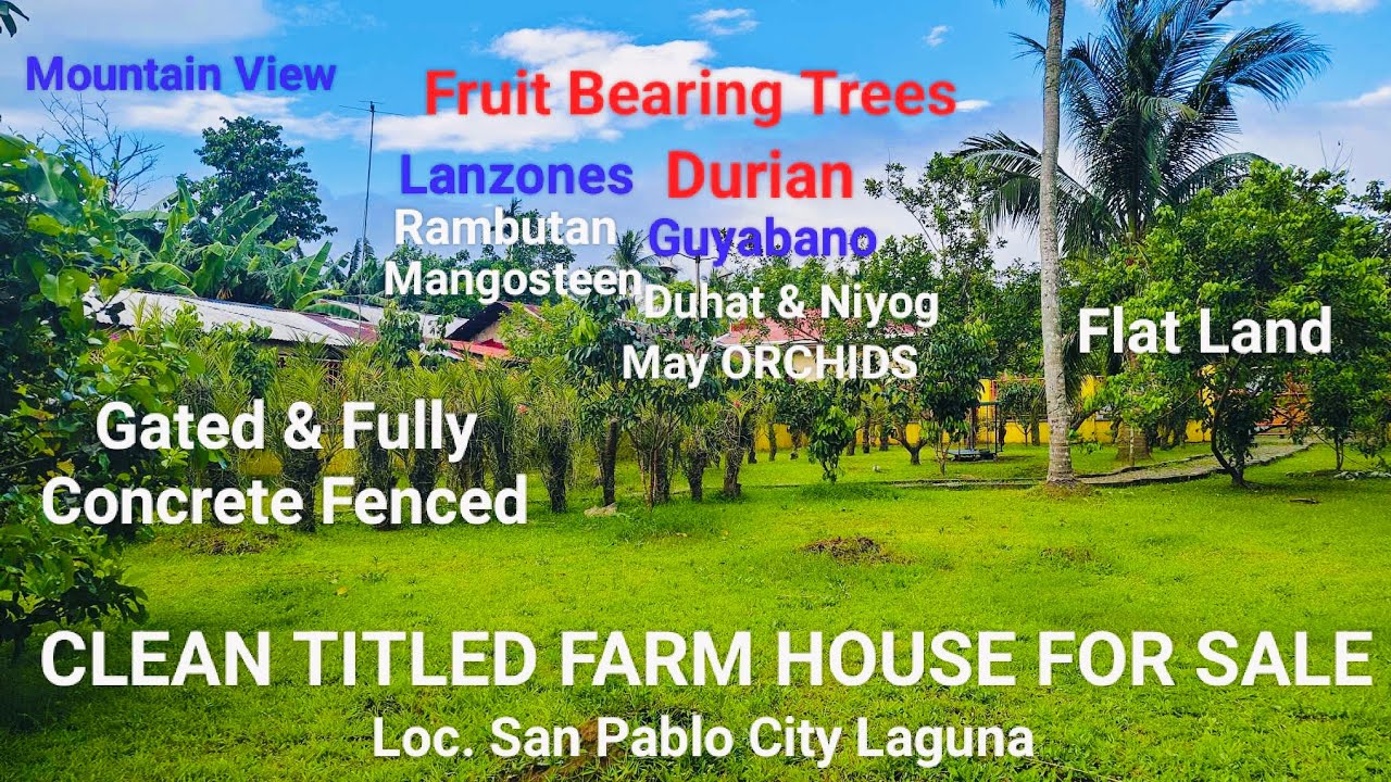 #Vlog293 FARM LOT W/ HOUSE FOR SALE | CLEAN TITLE | FULLY FENCED & GATED 